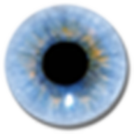 VisuWords